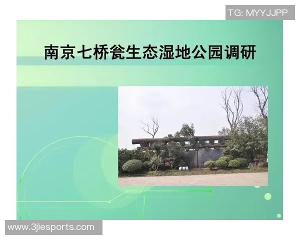 南京乒乓球队与杭州乒乓球队个人能力赛后分析与对比探讨